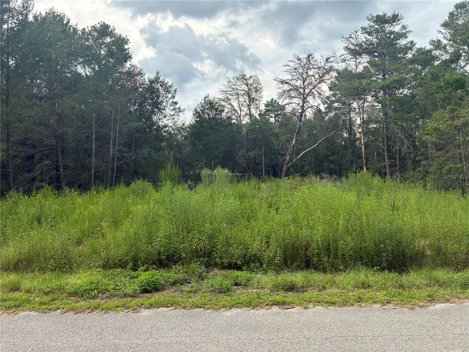 待售: $17,900 (0.24 acres)