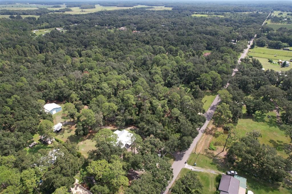 待售: $725,000 (3 贝兹, 2 浴室, 1610 平方英尺)