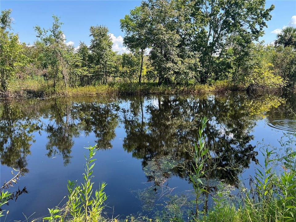 Под контрактом: $299,000 (3 спален, 2 ванн, 1916 Квадратных фут)