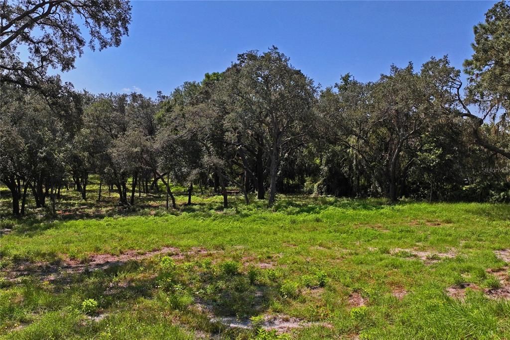 For Sale: $215,000 (4.26 acres)