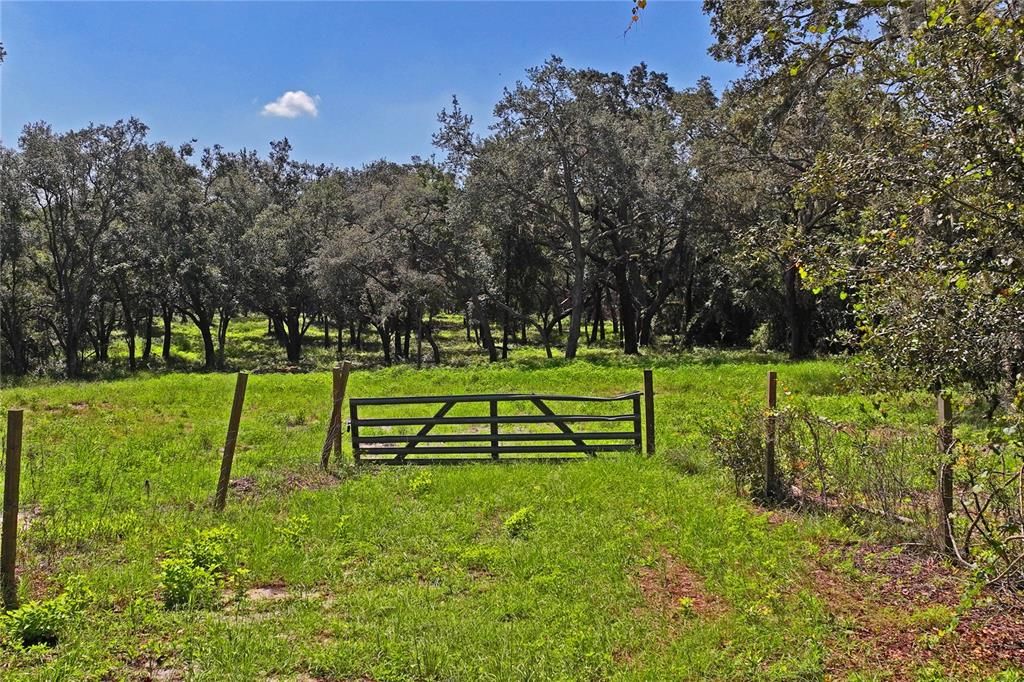 For Sale: $215,000 (4.26 acres)