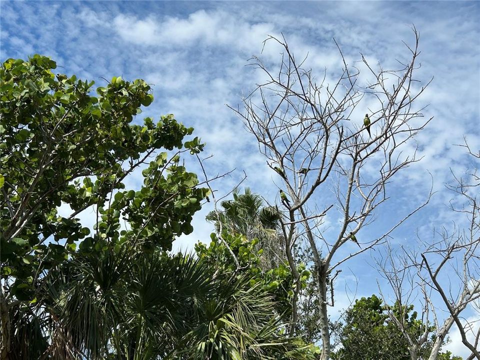 На продажу: $699,000 (0.09 acres)