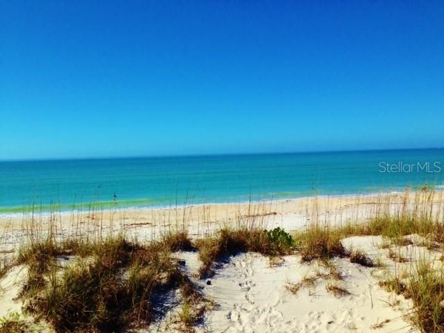 待售: $1,699,000 (3 贝兹, 2 浴室, 2392 平方英尺)