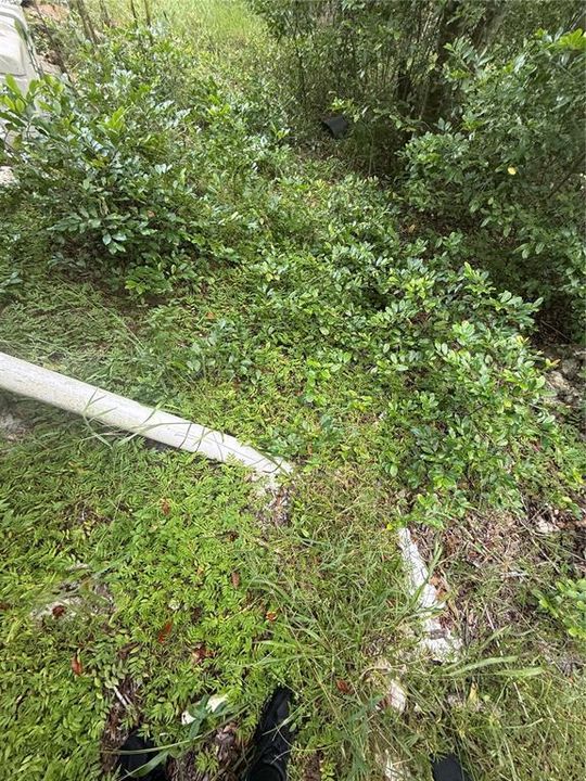 En Venta: $220,000 (5.00 acres)