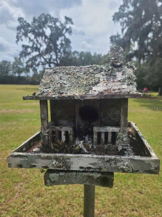 Под контрактом: $349,999 (3 спален, 2 ванн, 3240 Квадратных фут)