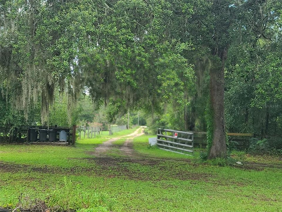 Под контрактом: $349,999 (3 спален, 2 ванн, 3240 Квадратных фут)