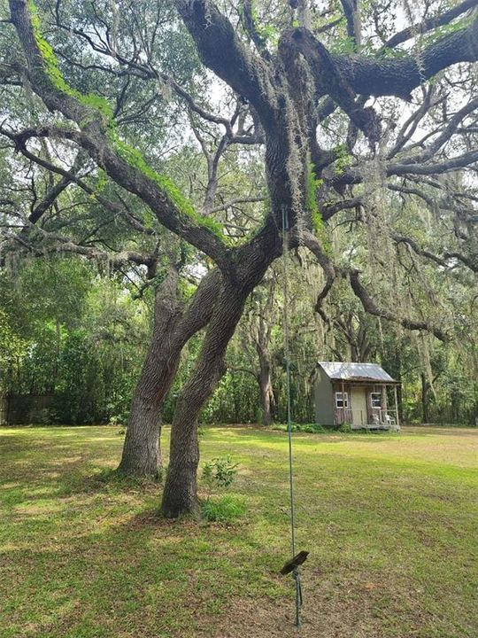 Под контрактом: $349,999 (3 спален, 2 ванн, 3240 Квадратных фут)