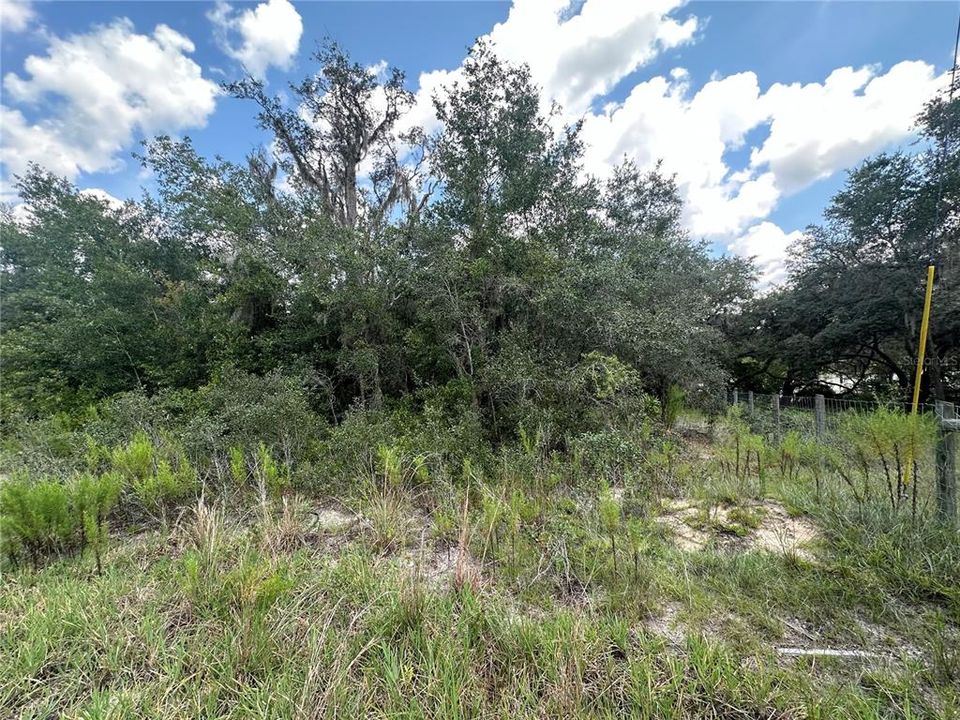 En Venta: $110,500 (1.31 acres)