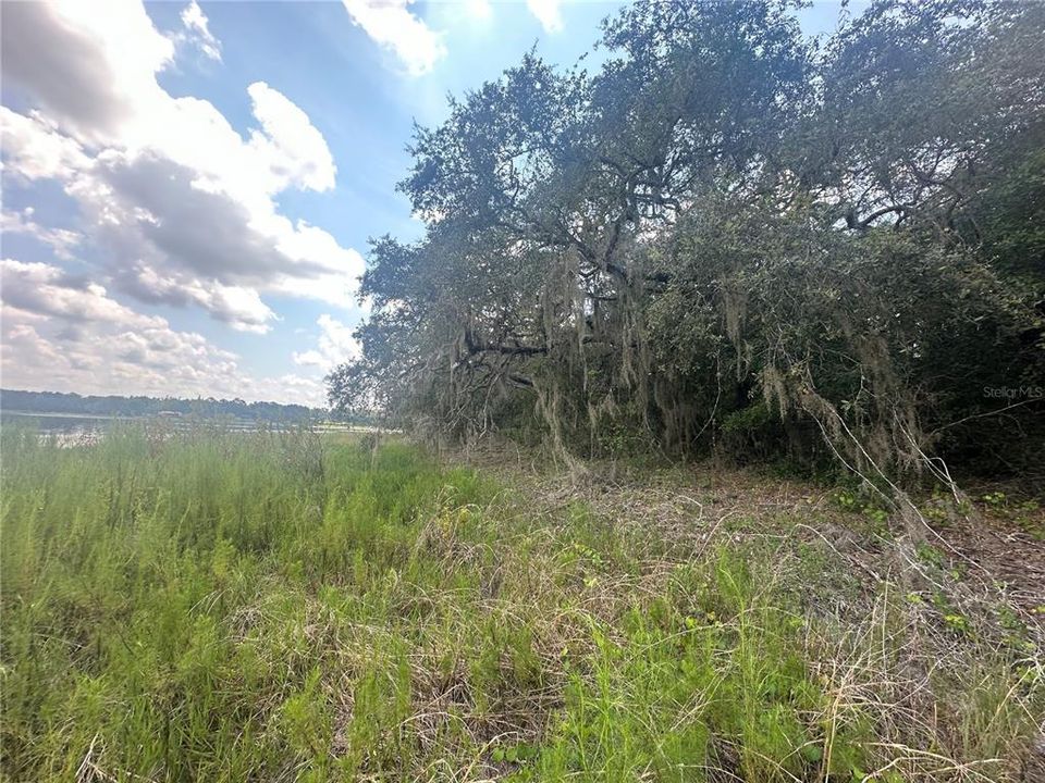 En Venta: $110,500 (1.31 acres)