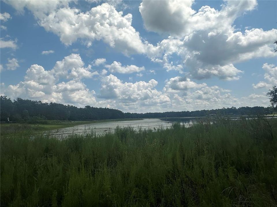 En Venta: $110,500 (1.31 acres)