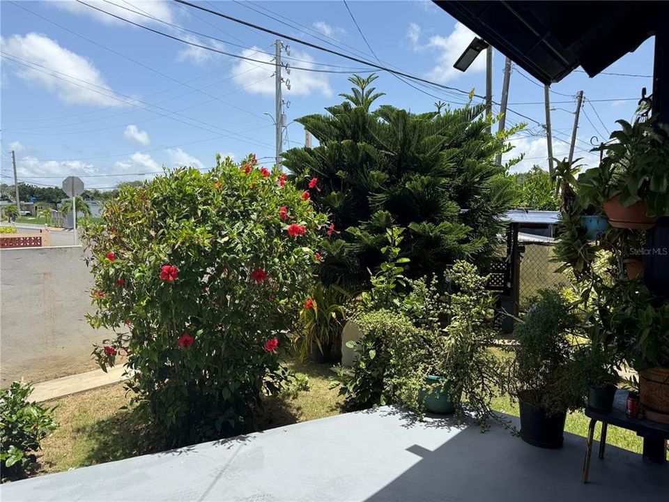 待售: $380,000 (3 贝兹, 2 浴室, 1382 平方英尺)