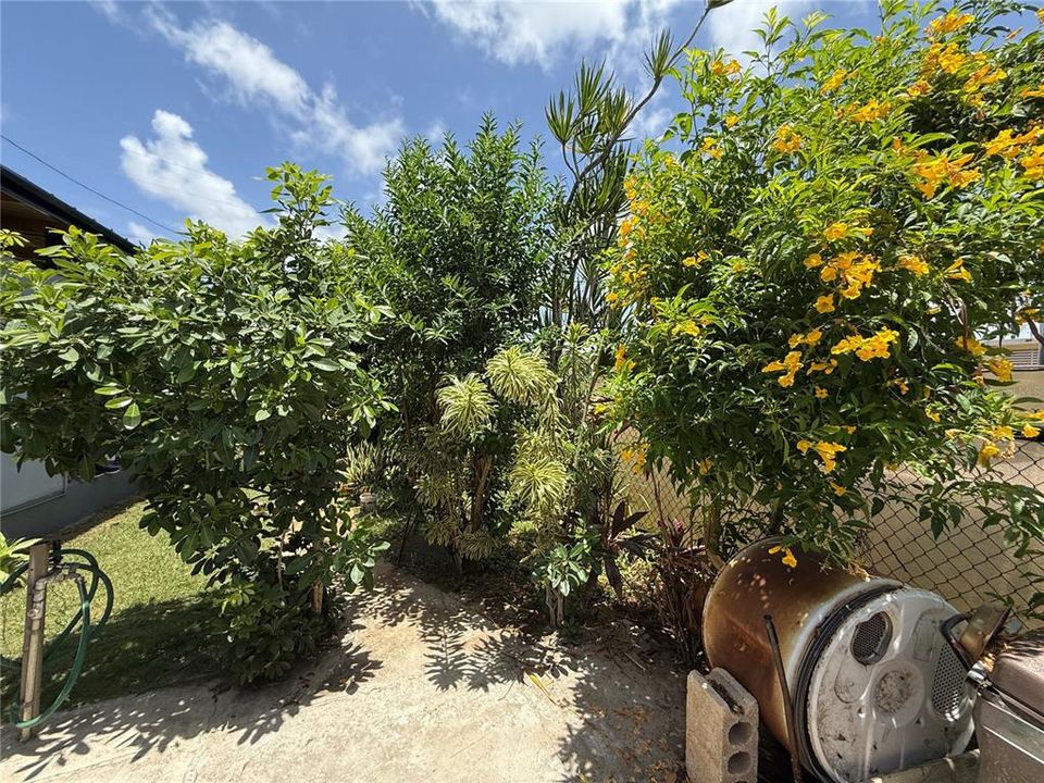 待售: $380,000 (3 贝兹, 2 浴室, 1382 平方英尺)