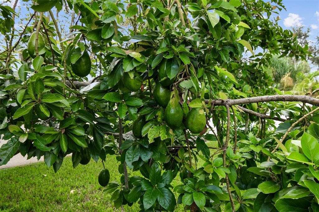 Active With Contract: $499,000 (4 beds, 3 baths, 2518 Square Feet)