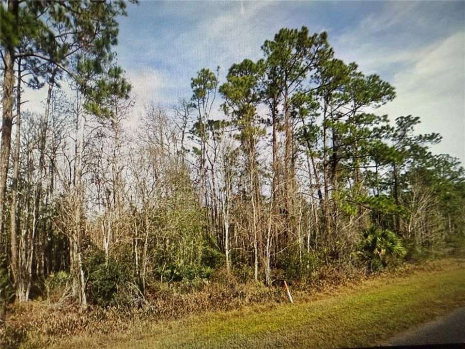 待售: $225,000 (2.40 acres)