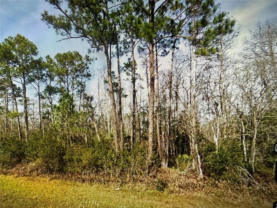 待售: $225,000 (2.40 acres)