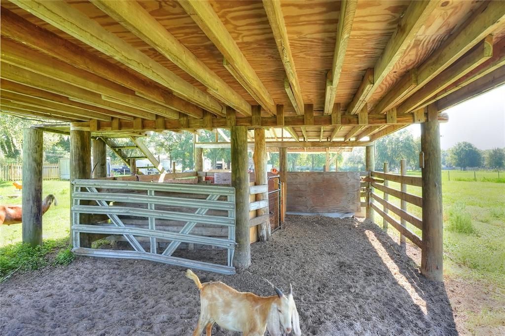 待售: $360,000 (3 贝兹, 3 浴室, 1150 平方英尺)