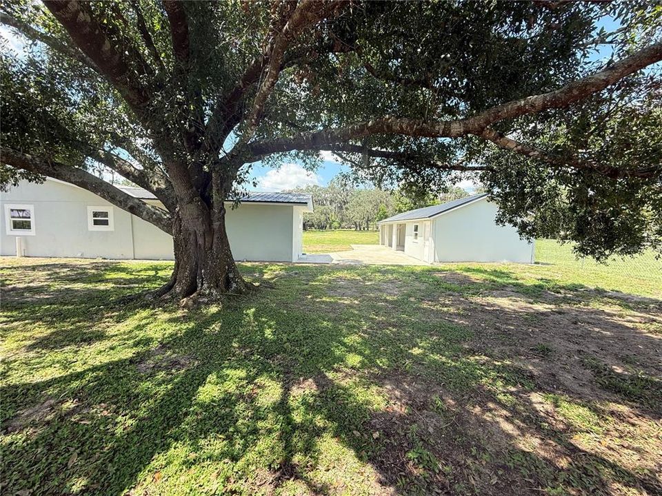 待售: $299,990 (3 贝兹, 2 浴室, 1372 平方英尺)