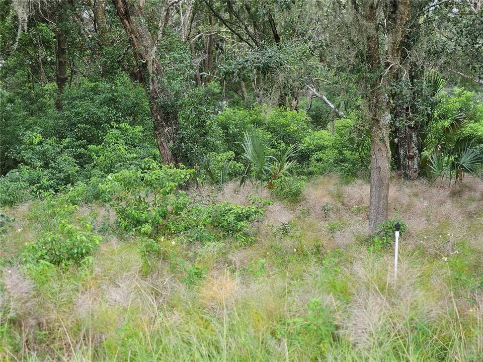 Недавно продано: $49,900 (1.00 acres)