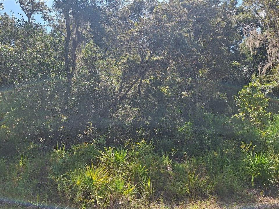 En Venta: $47,500 (2.83 acres)