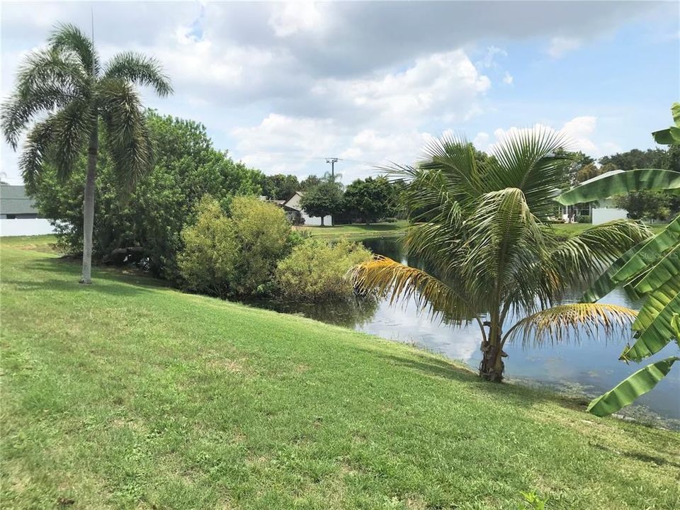 出租: $3,200 (3 贝兹, 2 浴室, 1872 平方英尺)