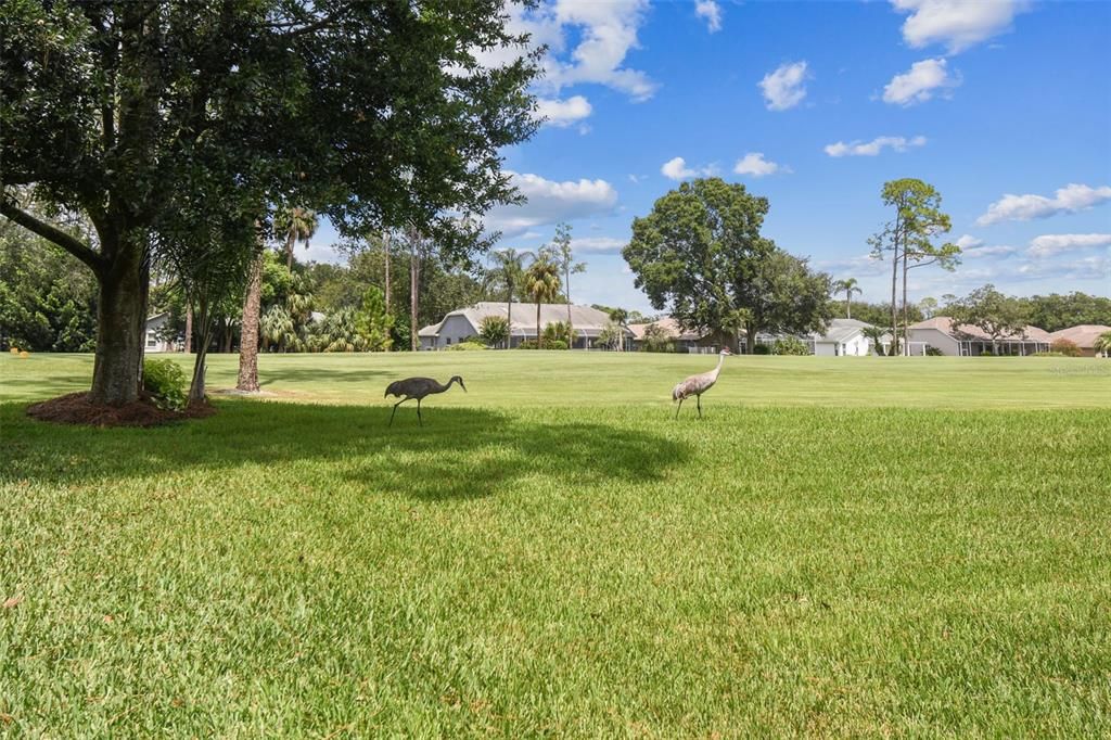 Active With Contract: $399,900 (3 beds, 2 baths, 2481 Square Feet)