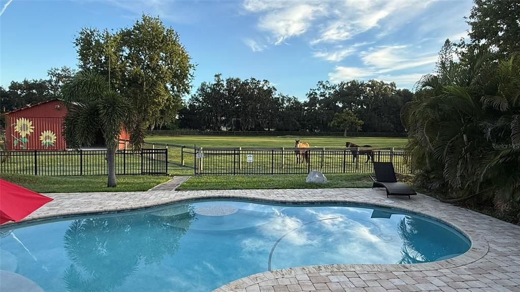 For Sale: $1,395,000 (4 beds, 3 baths, 3875 Square Feet)