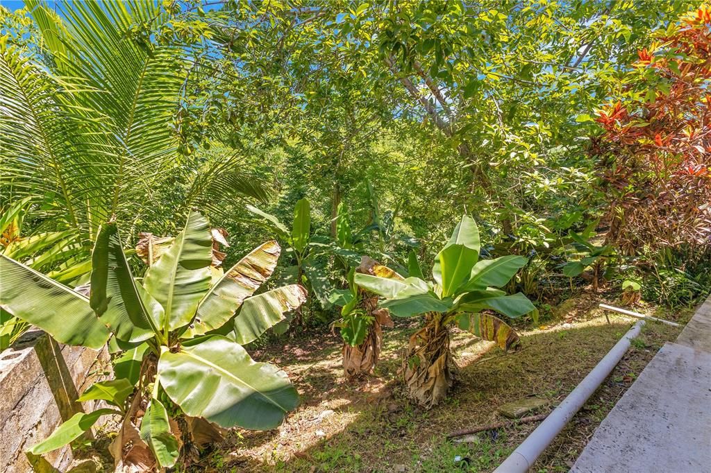 На продажу: $499,000 (4 спален, 3 ванн, 1700 Квадратных фут)