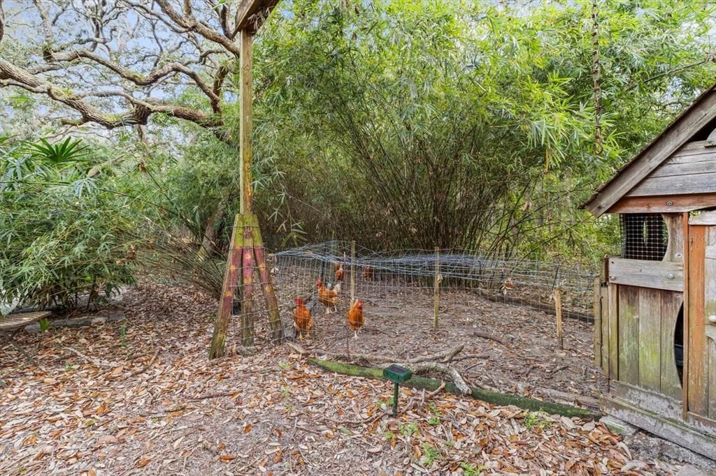 合同活跃: $389,000 (3 贝兹, 2 浴室, 1500 平方英尺)