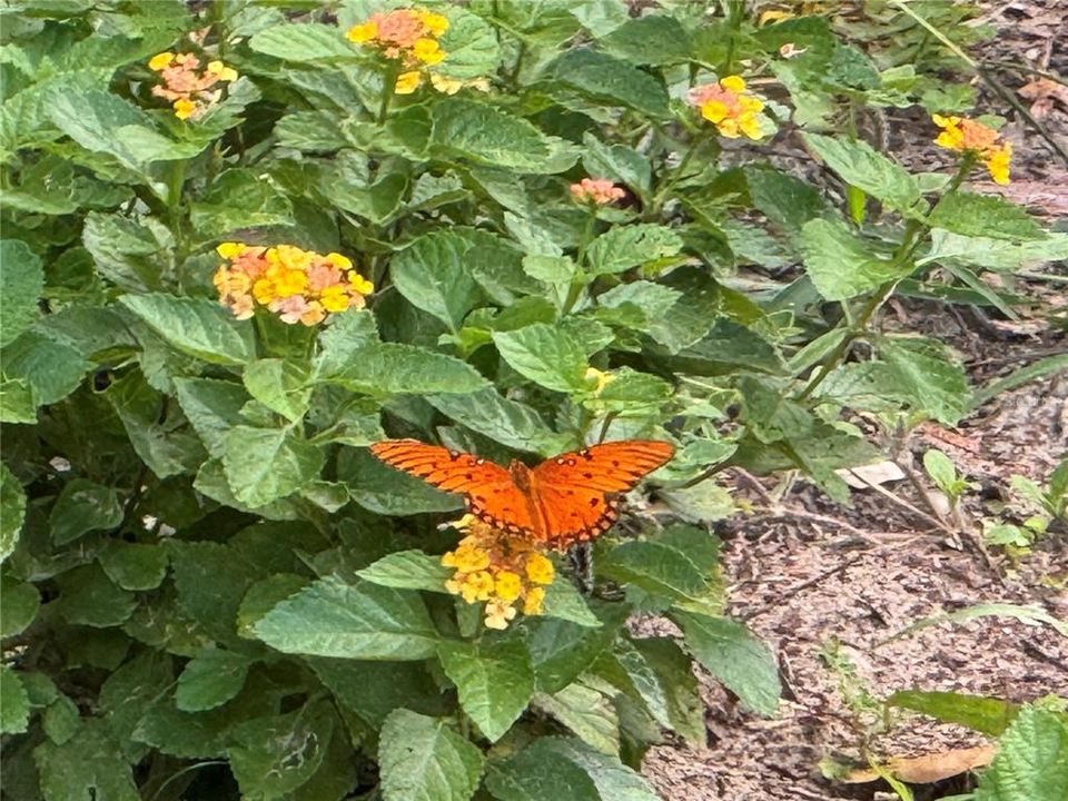 待售: $399,000 (3 贝兹, 2 浴室, 2175 平方英尺)