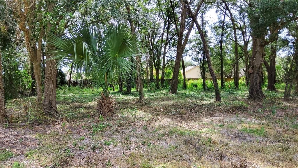 En Venta: $136,500 (0.43 acres)