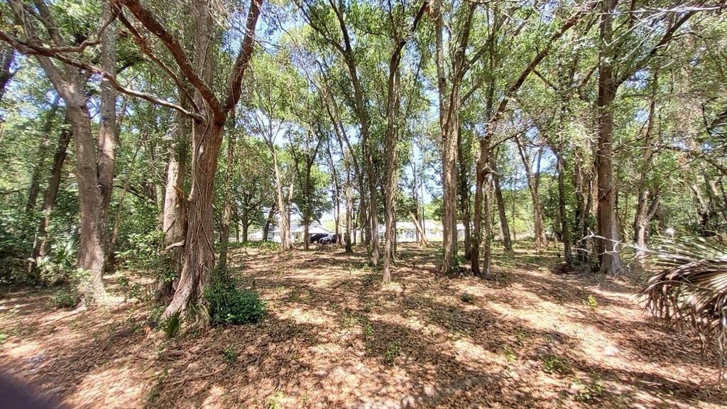 En Venta: $136,500 (0.43 acres)