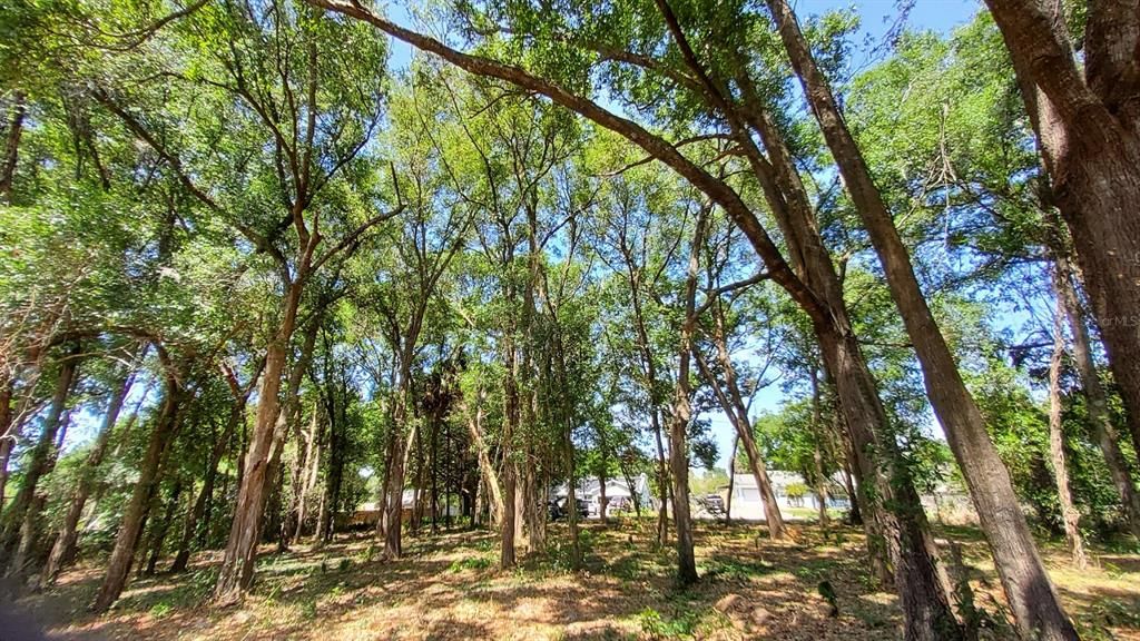 En Venta: $136,500 (0.43 acres)