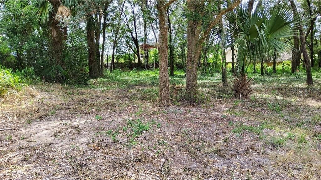 En Venta: $136,500 (0.43 acres)