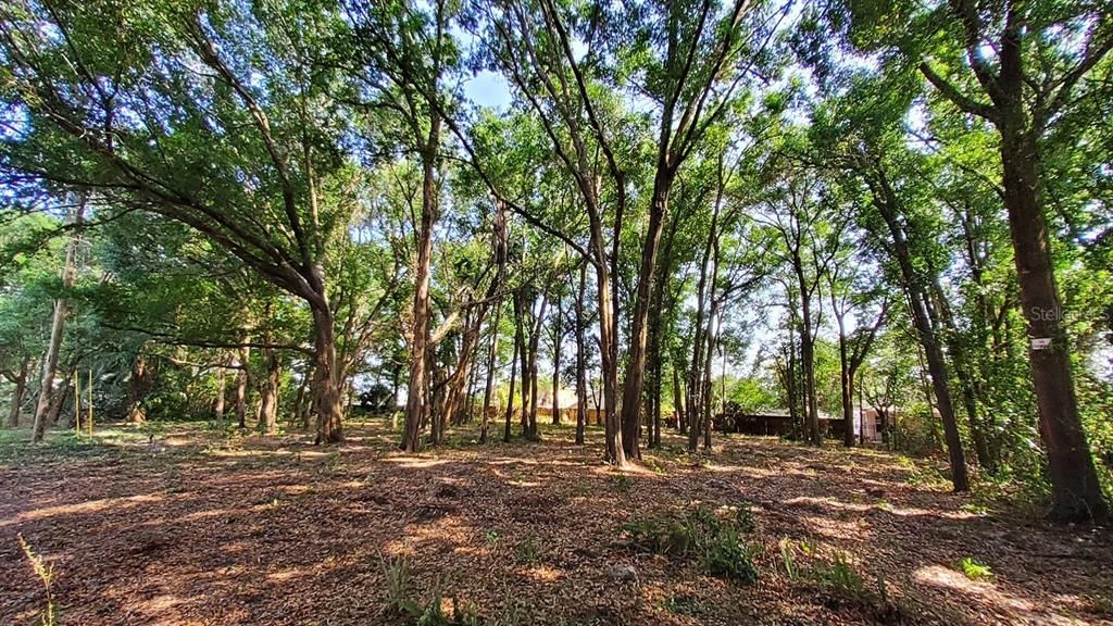 En Venta: $136,500 (0.43 acres)