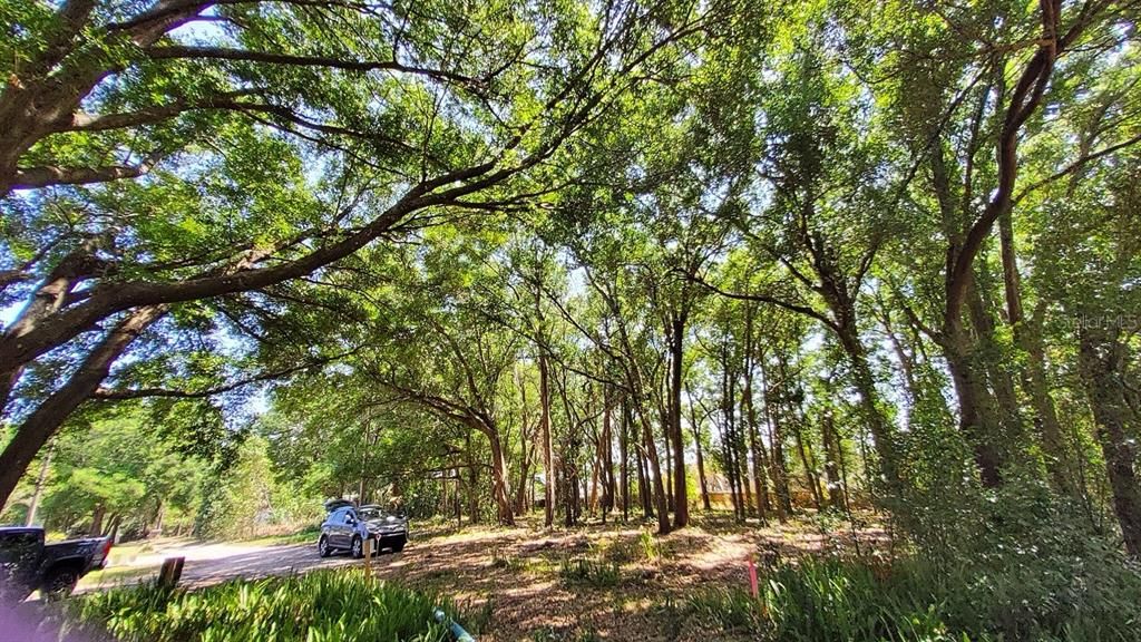 En Venta: $136,500 (0.43 acres)