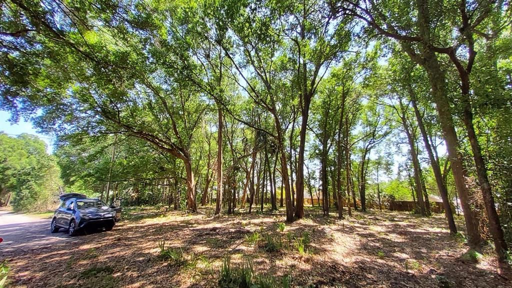 En Venta: $136,500 (0.43 acres)