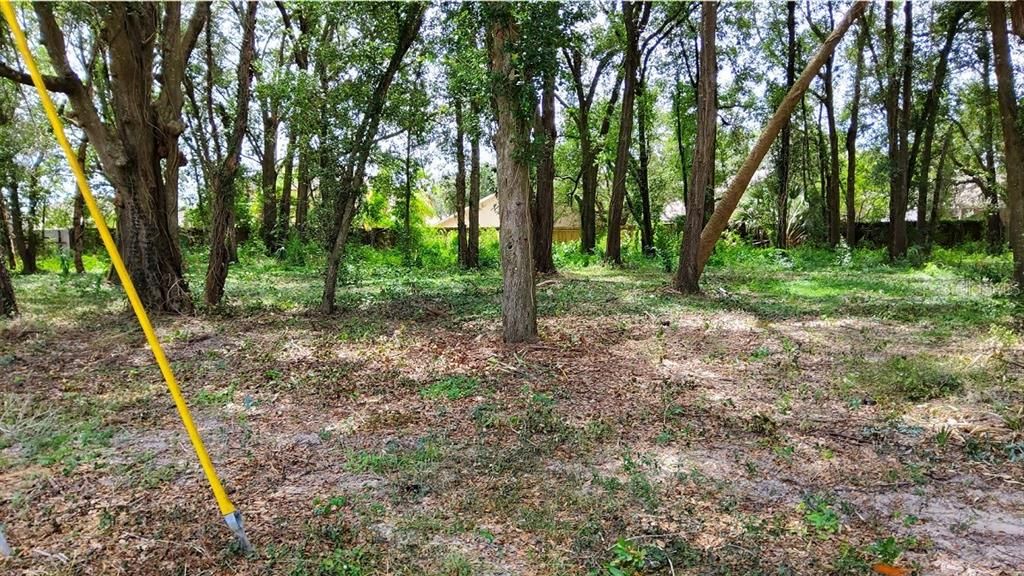 En Venta: $136,500 (0.43 acres)