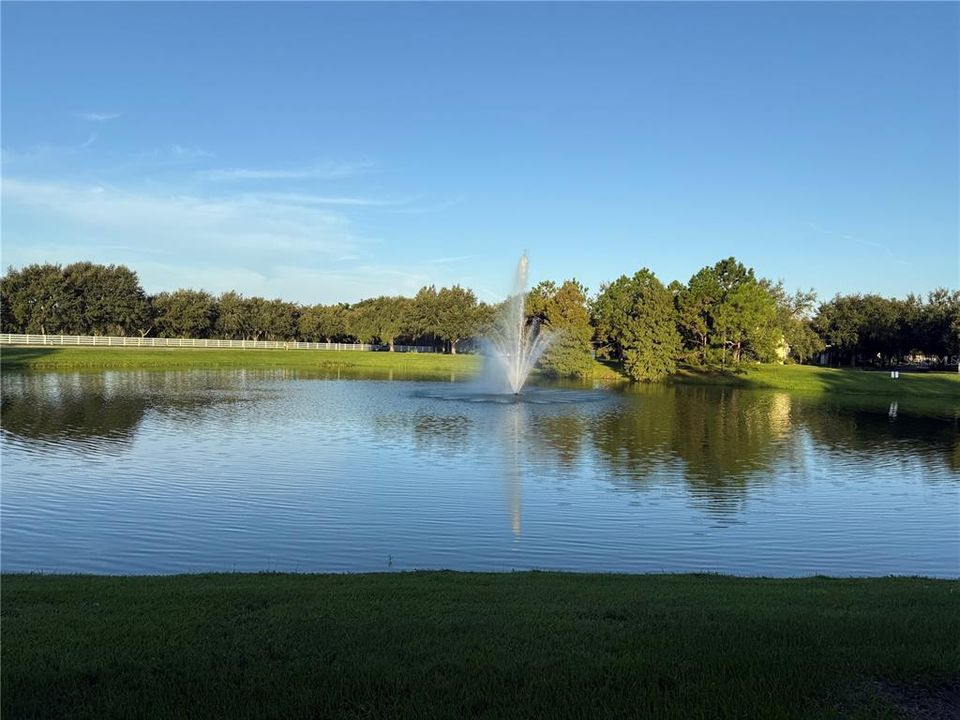 For Sale: $739,000 (5 beds, 3 baths, 2972 Square Feet)