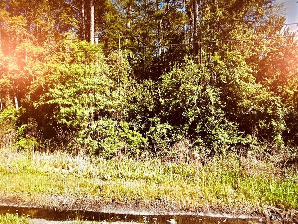 Под контрактом: $35,000 (1.05 acres)