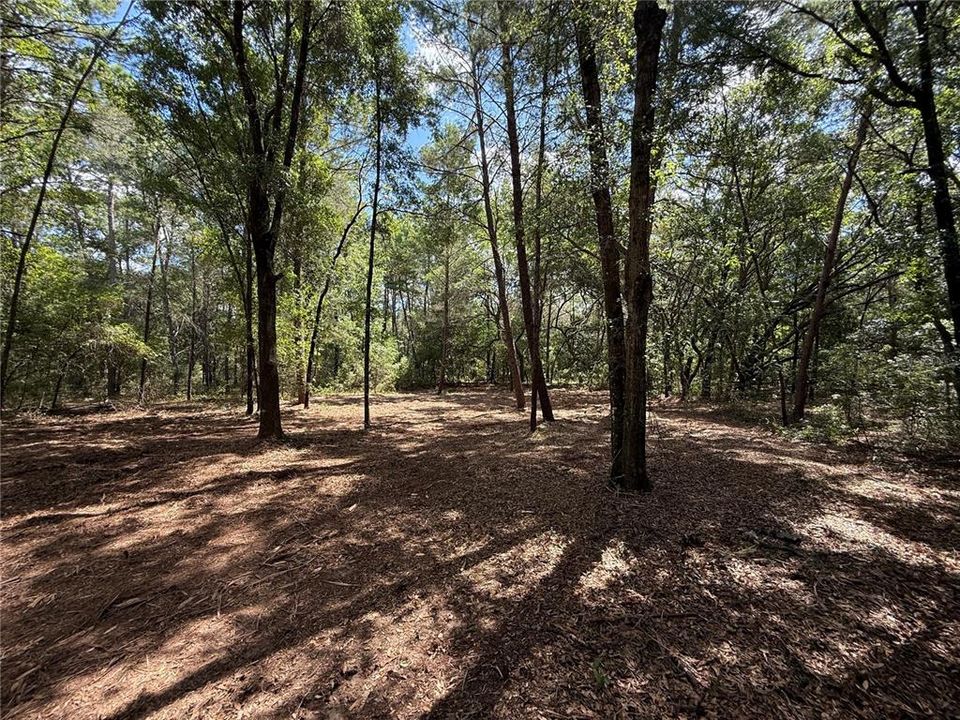 En Venta: $20,000 (0.22 acres)