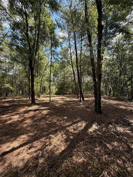 En Venta: $20,000 (0.22 acres)