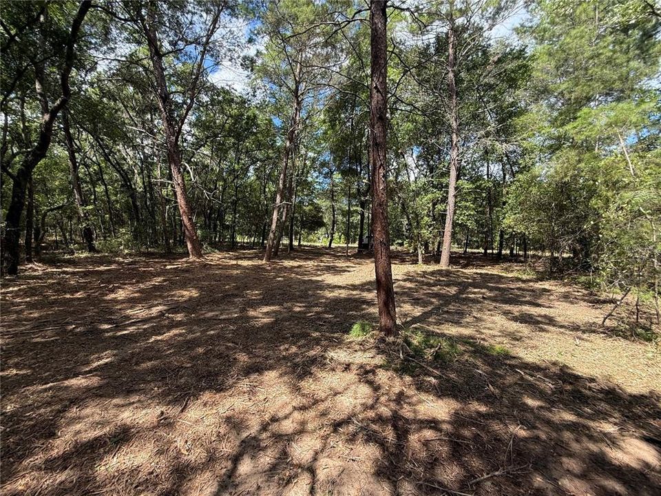 En Venta: $20,000 (0.22 acres)