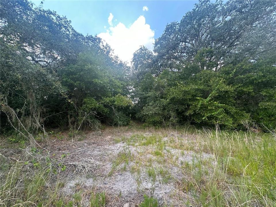 For Sale: $61,000 (0.63 acres)