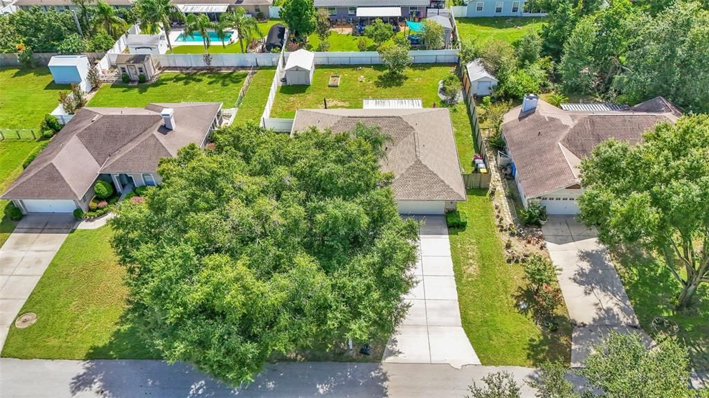 Под контрактом: $309,999 (3 спален, 2 ванн, 1609 Квадратных фут)