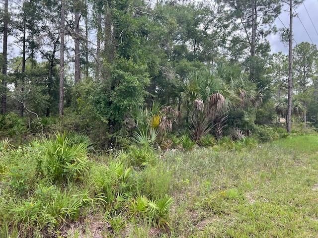 На продажу: $43,500 (1.15 acres)