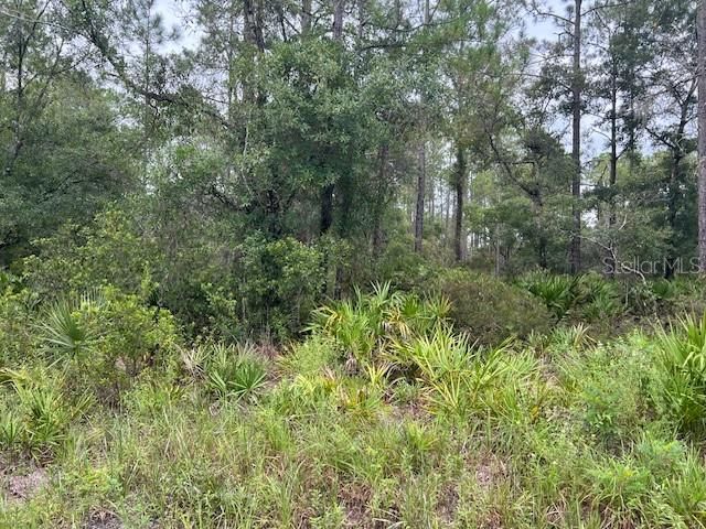 На продажу: $43,500 (1.15 acres)