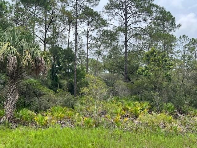 На продажу: $43,500 (1.15 acres)