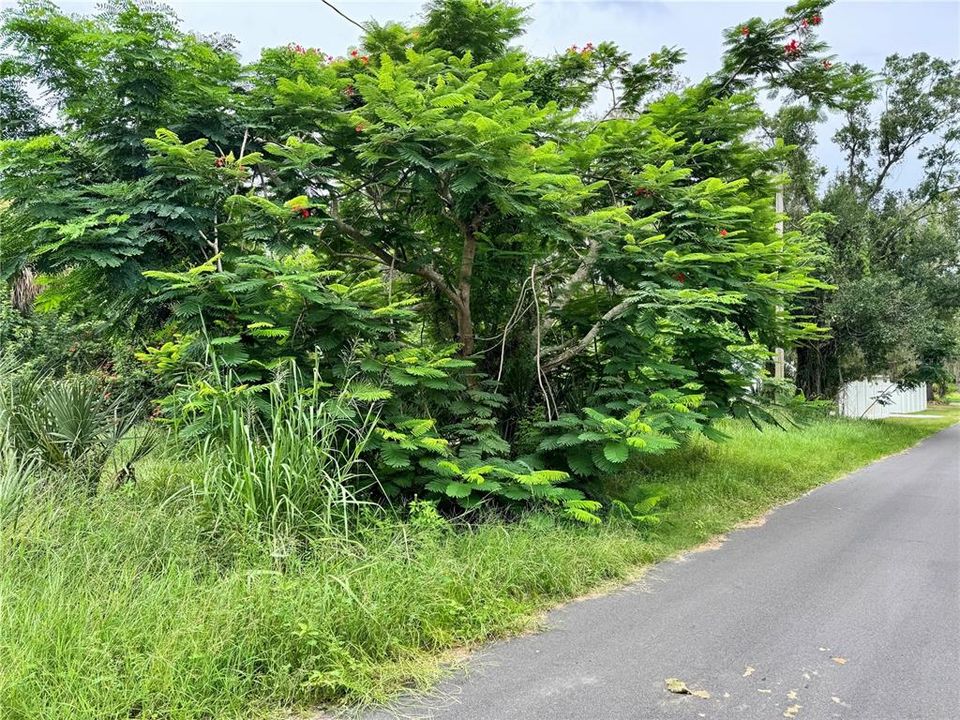 En Venta: $87,000 (0.32 acres)