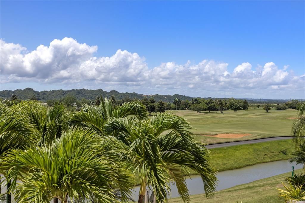 待售: $4,300,000 (4 贝兹, 4 浴室, 3700 平方英尺)