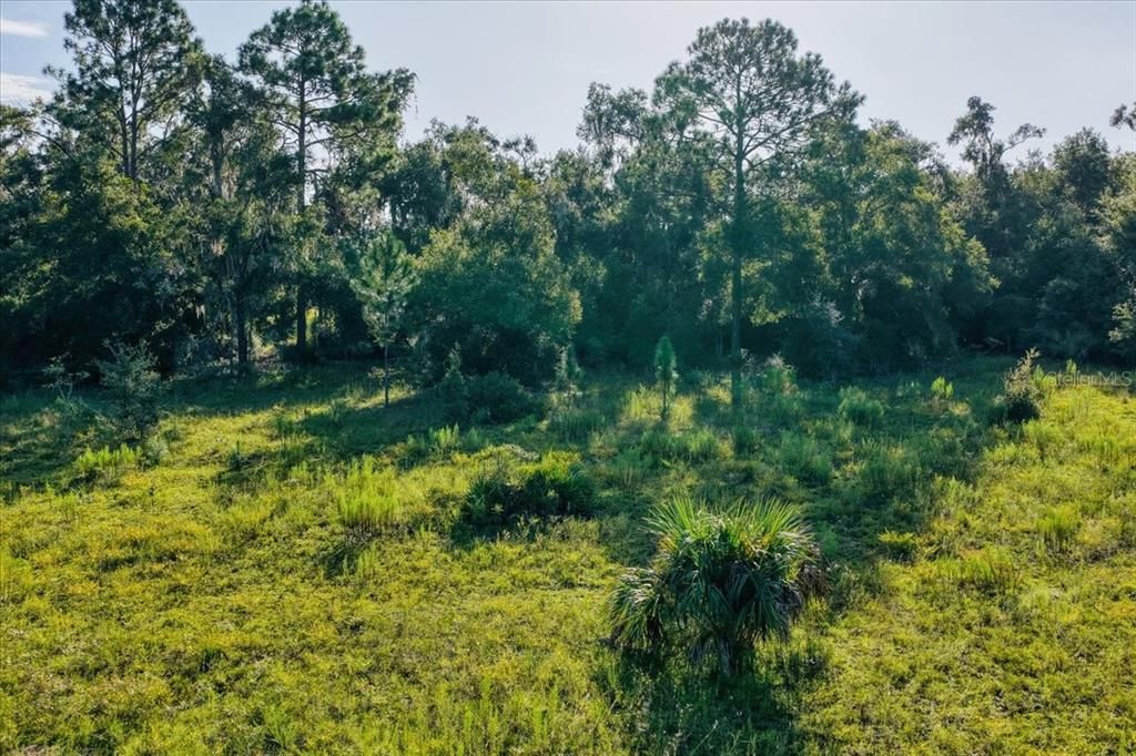 En Venta: $300,000 (17.69 acres)